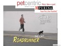 slide17_purina