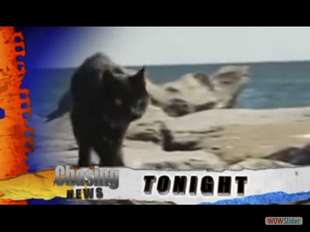 RRchasingNews1